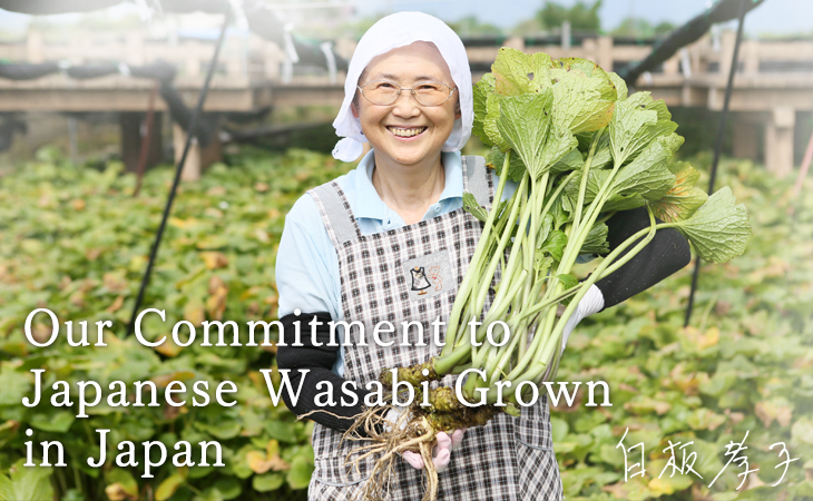 Our commitment to wasabi produced from Japanese ingredients
