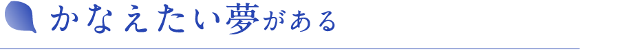 かなえたい夢がある