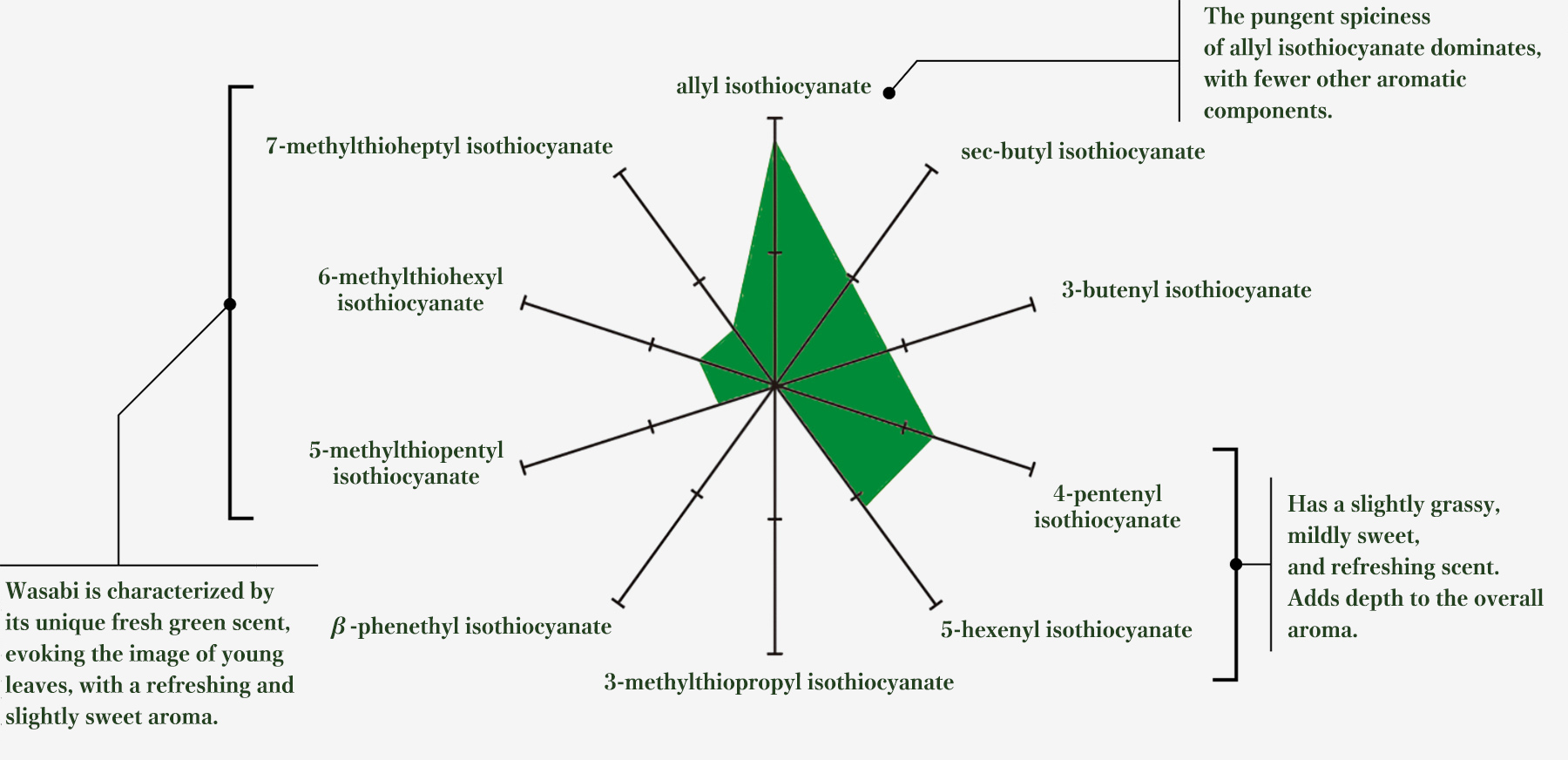 The pungent spiciness of allyl isothiocyanate dominates, with fewer other aromatic components.Has a slightly grassy, mildly sweet, and refreshing scent.