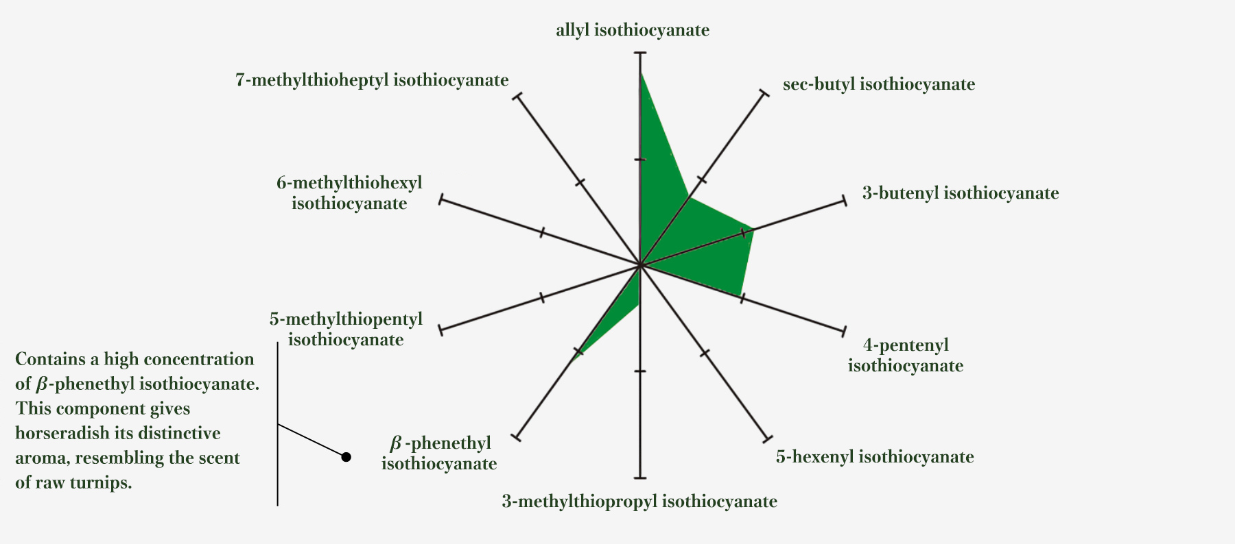 Contains a high concentration of β-phenethyl isothiocyanate. This component gives horseradish its distinctive aroma, resembling the scent of raw turnips.