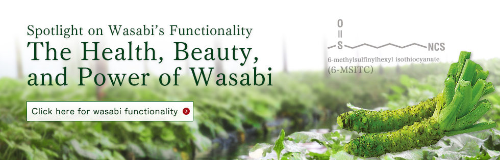 Functionality of Wasabi