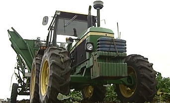 Horseradish harvesting machine developed by KINJIRUSHI