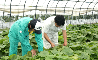 Communication with farmers