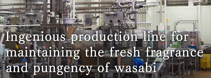 Ingenious production line that maintaining fresh fragrance and pungency of wasabi