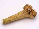 Horseradish