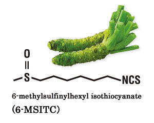 Wasabi-sulfinyl&reg;