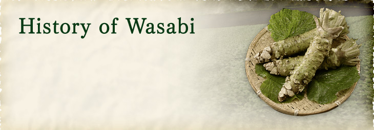 History of Wasabi