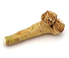 What is horseradish?