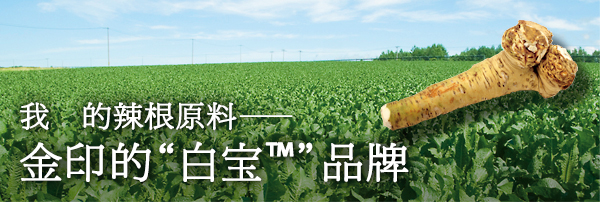 我们的辣根原料—金印的“白宝™”品牌