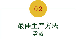 最佳生产方法承诺