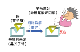 为什么芥末有辣味？