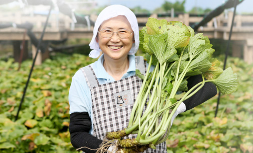 我們對使用國產原料的承諾