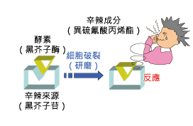 山葵為什麼會有辛辣味？