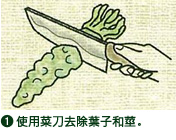 1.使用菜刀去除葉子和莖。